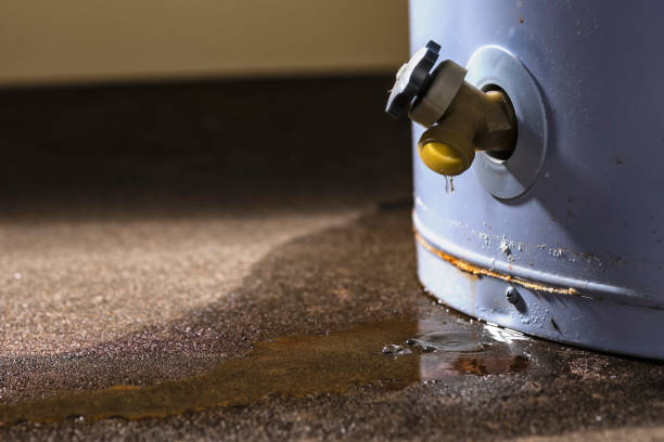 Best Water damage repair service  in Jerome, ID