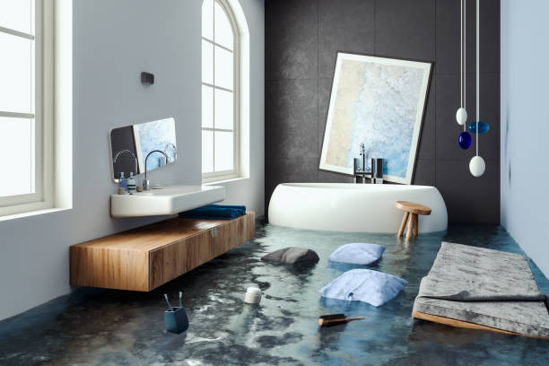 Best Sewage cleanup and water damage restoration  in Jerome, ID