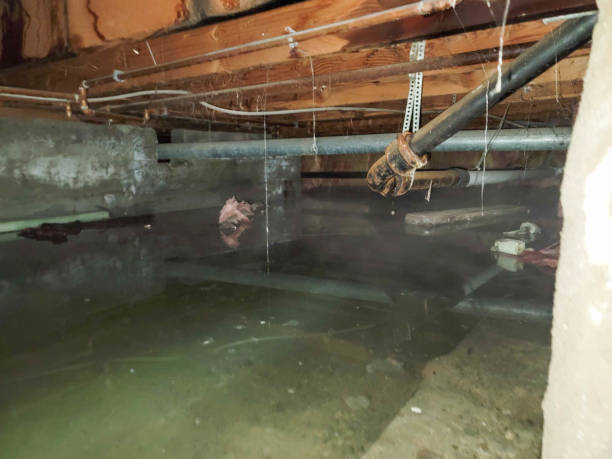 Best Water damage restoration experts  in Jerome, ID