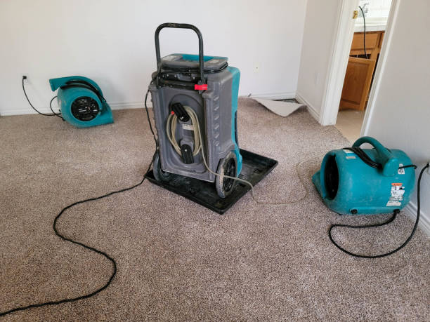 Best Flood restoration services  in Jerome, ID